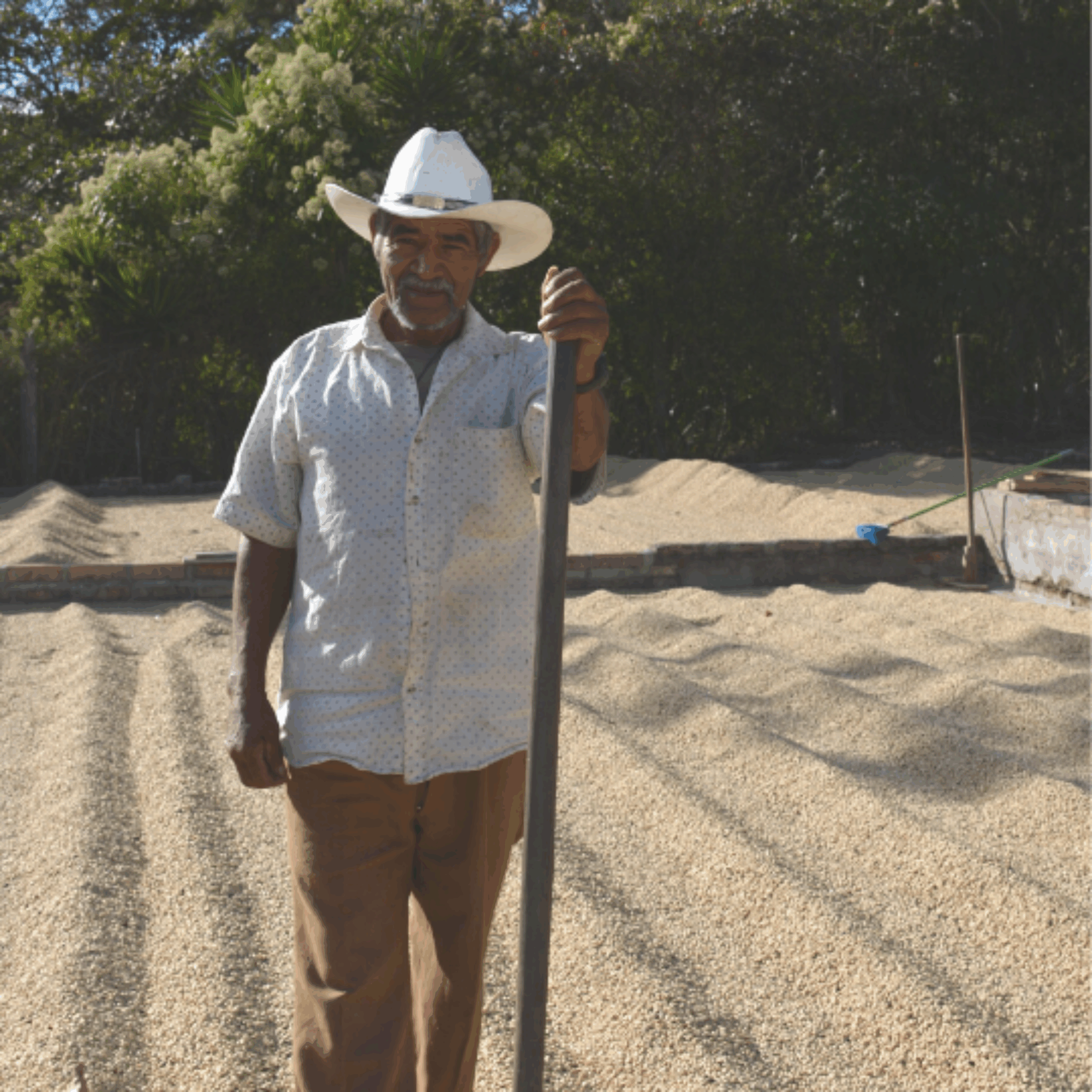 Farm Honduras